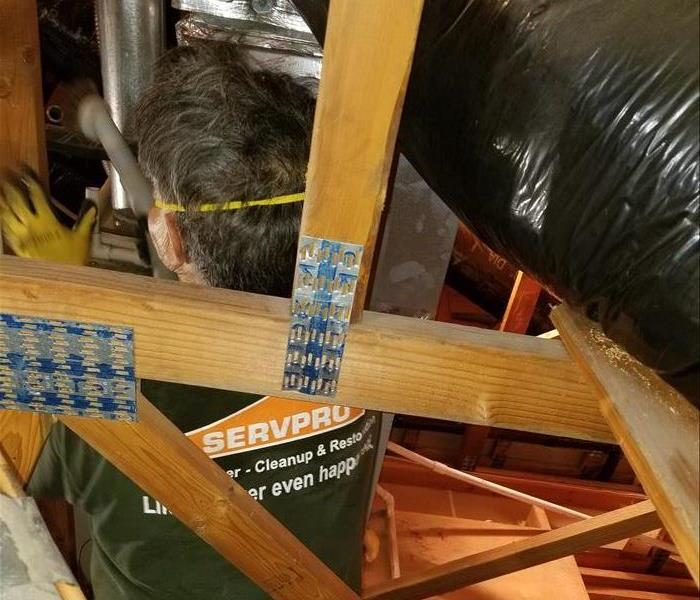 Photo is showing a man vacuuming and cleaning an attic space