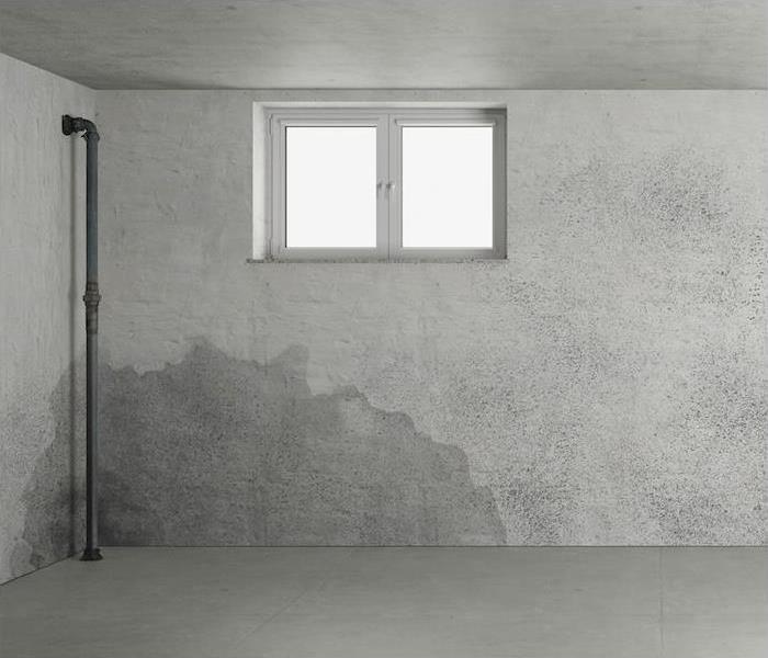 Photo is showing wet walls inside of a basement