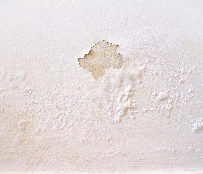 Photo is showing peeling and cracking paint on a wall