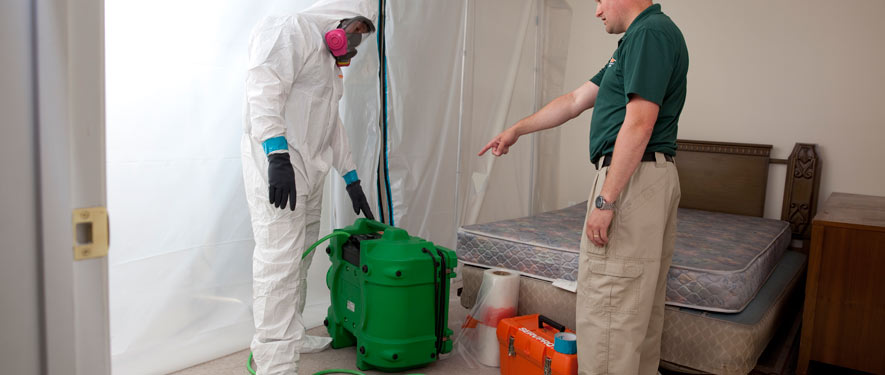 Anaheim, CA mold removal process